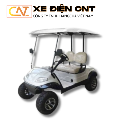 Xe điện sân Golf LVTONG 2 chỗ LT-A627.2G