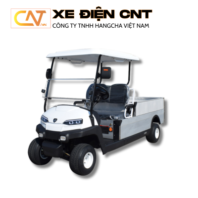 Xe điện chở hàng 2 chỗ ZYCAR ZH05