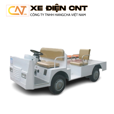 Xe điện chở bênh nhân Eagle EG 6021HT