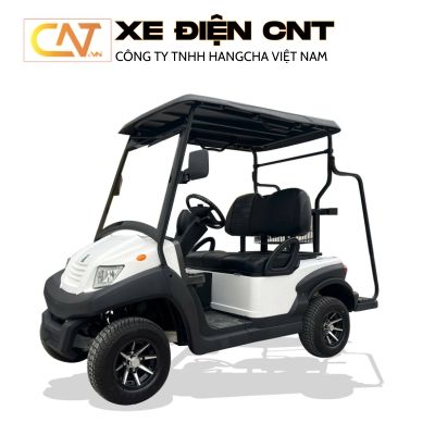 Xe điện sân Golf Eagle 2 chỗ EG 202AK