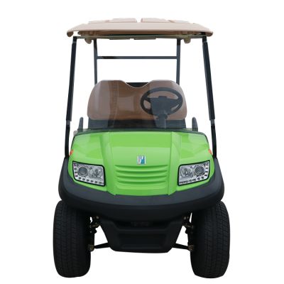 Xe điện sân Golf Eagle 2 chỗ EG 202AK