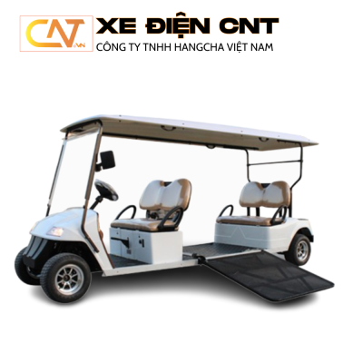 Xe điện chở bệnh nhân Eagle EG 2068T