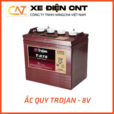 Bình ắc quy Trojan - 8v (dung lương tùy chọn)