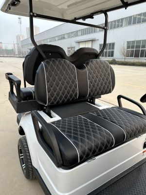 Xe điện sân Golf 2 chỗ CNT G2+2