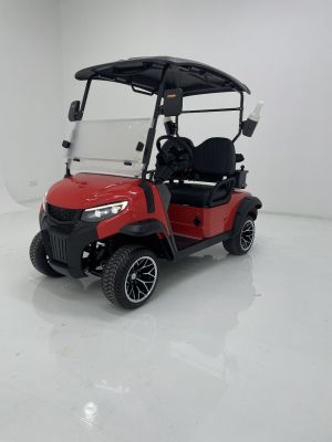 Xe điện sân Golf 2 chỗ CNT G2 