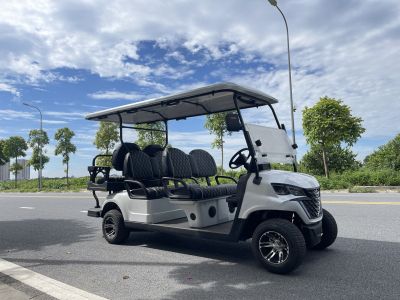 Xe điện sân Golf 6 chỗ CNT G4+2 