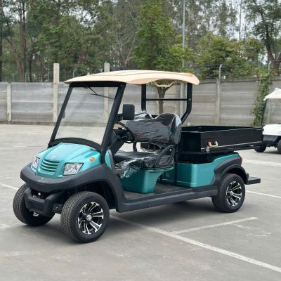 Xe điện chở hàng Eagle 2 chỗ EG 204AHCX