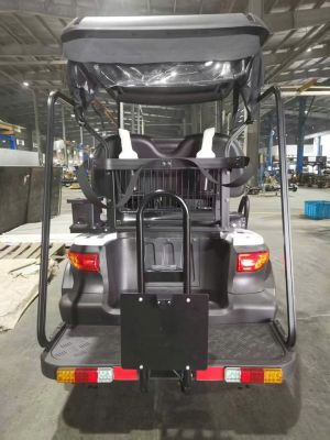 Xe điện sân Golf Eagle 2 chỗ EG 202AK
