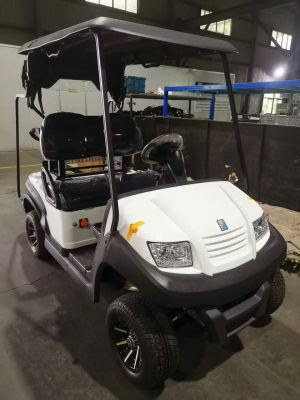 Xe điện sân Golf Eagle 2 chỗ EG 202AK