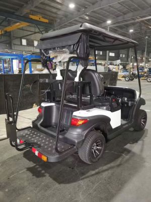 Xe điện sân Golf Eagle 2 chỗ EG 202AK
